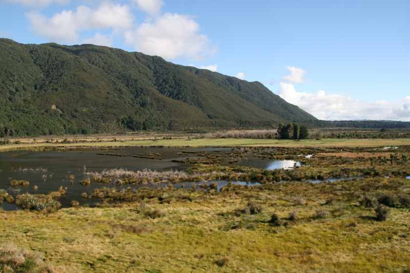 Nieuw-Zeeland 2011 - 1733